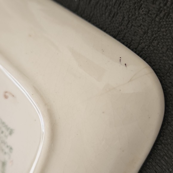 VINTAGE VICTORIA B.C. ENGLAND LANCASTER LTD & SANDLAND WARE SOUVENIR BUTTER DISH - Picture 11 of 11